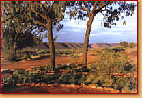 Kings Creek Station - Mackay Tourism 1
