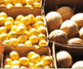 Brisbane Markets - Mackay Tourism