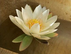 St Georges Natural Health Therapies - Mackay Tourism 3