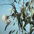 Dianne Tanzer Gallery & Projects - Mackay Tourism 1