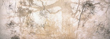 Dianne Tanzer Gallery & Projects - Mackay Tourism 3
