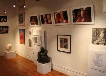 Bird's Gallery - Mackay Tourism 2