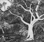 Tacit Contemporary Art - Mackay Tourism