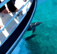 Pelican Charters - Mackay Tourism
