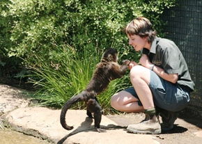 National Zoo & Aquarium - Mackay Tourism 1