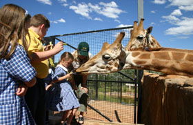 National Zoo & Aquarium - Mackay Tourism 2