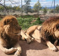 Mansfield Zoo - Mackay Tourism