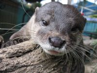 Underwater World - Mackay Tourism 1