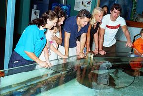 Underwater World - Mackay Tourism 3