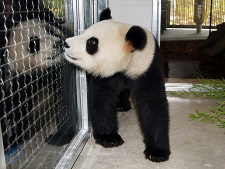 Adelaide Zoo - Mackay Tourism 3