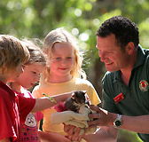Cleland Wildlife Park - Mackay Tourism