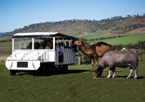Zoo Doo Wildlife Park - Mackay Tourism 2