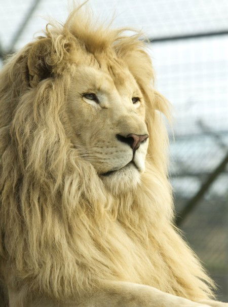Zoo Doo Wildlife Park - Mackay Tourism 3
