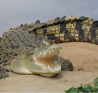 Dundee's Wildlife Park - Mackay Tourism