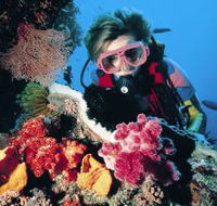 Gold Coast Seaway Dive Site - Mackay Tourism