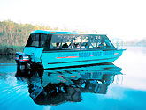 Noosa Everglades Discovery - Mackay Tourism 1