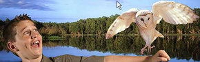 Territory Wildlife Park - Mackay Tourism 2