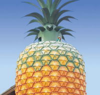 The Big Pineapple - Mackay Tourism