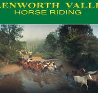Glenworth Valley Horseriding - Mackay Tourism