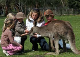 Gumbuya Park - Mackay Tourism 1