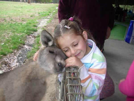 Gumbuya Park - Mackay Tourism 3