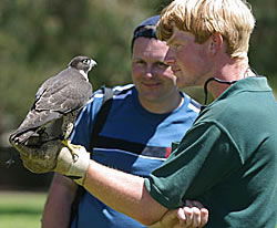 Great Oak Holdings Pty Ltd - Mackay Tourism 1