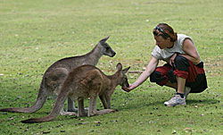Great Oak Holdings Pty Ltd - Mackay Tourism 2