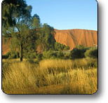Uluru - Kata Tjuta National Park - Mackay Tourism