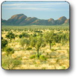 Uluru - Kata Tjuta National Park - Mackay Tourism 2