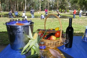 Buxton Trout And Salmon Farm - Mackay Tourism 2