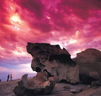 Kangaroo Island Adventure Tour 2 day/1 night - Mackay Tourism