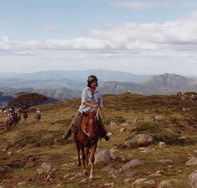 High Country Horses - Mackay Tourism