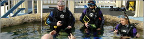 Scuba World - Mackay Tourism 2