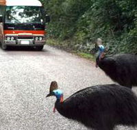 Kookaburra Tours - Mackay Tourism