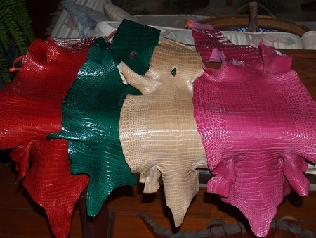 Koorana Saltwater Crocodile Farm - Mackay Tourism 2