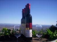Mount Tamborine Winery & Homestead - Mackay Tourism 0