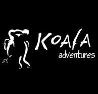 Koala Adventures - Mackay Tourism