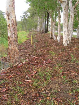 Kumbartcho Sanctuary - Mackay Tourism 1