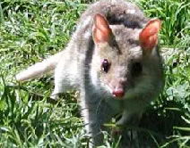  Mackay Tourism