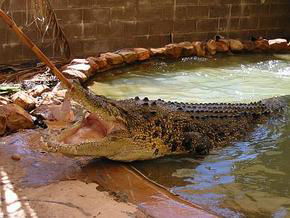  Mackay Tourism