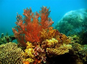 Exmouth WA Mackay Tourism