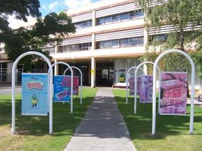 Cadbury Chocolate Factory Tour - Mackay Tourism 2