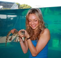 Crocosaurus Cove - Mackay Tourism