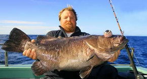  Mackay Tourism