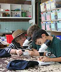 Australian National Botanic Gardens - Mackay Tourism 2