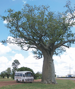 Kununurra Cruises - Mackay Tourism 1
