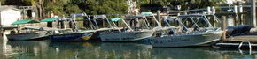 Brooklyn Central Boat Hire & General Store - Mackay Tourism 1