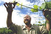 Barossa Experience Tours - Mackay Tourism 0