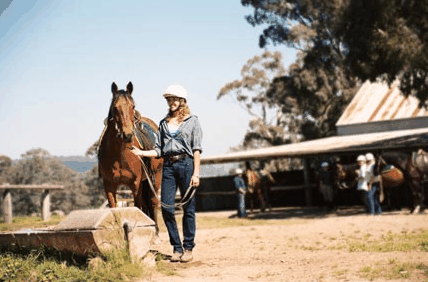 Watsons Trail Rides - Mackay Tourism