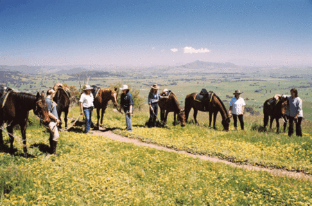 Watsons Trail Rides - Mackay Tourism 1